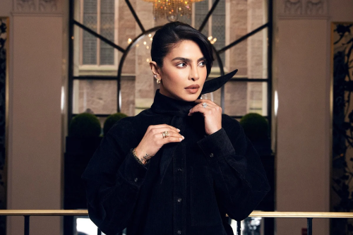 অনেক সিনেমা থেকে বাদ পড়ার অভিজ্ঞতা জানালেন প্রিয়াঙ্কা